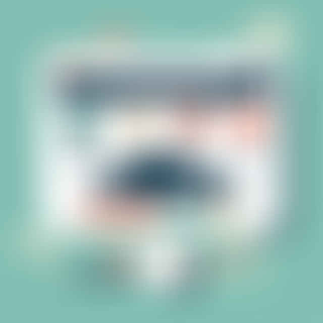 confirmation screen of successful electric car software update