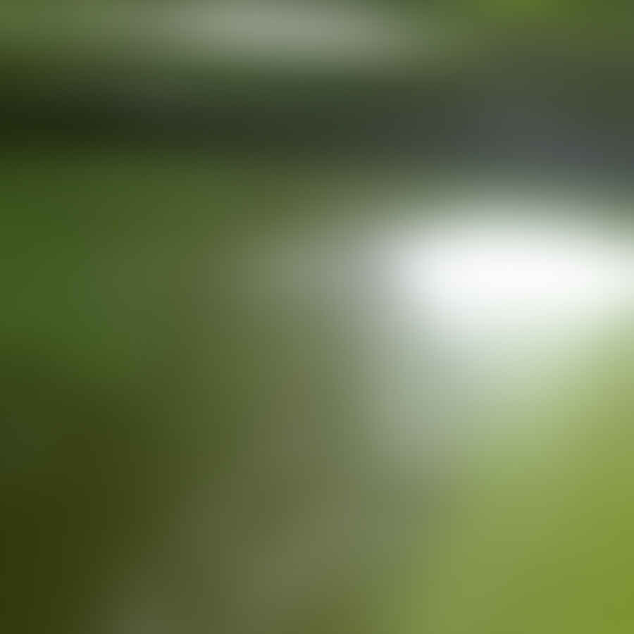 Close-up view of a car with deep scratches and paint chips